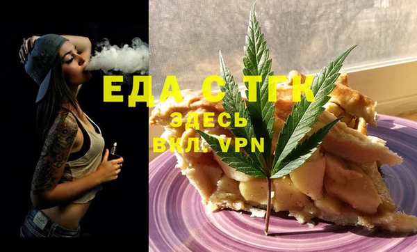 амф Тайга