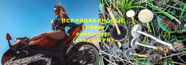 MESCALINE Белоозёрский